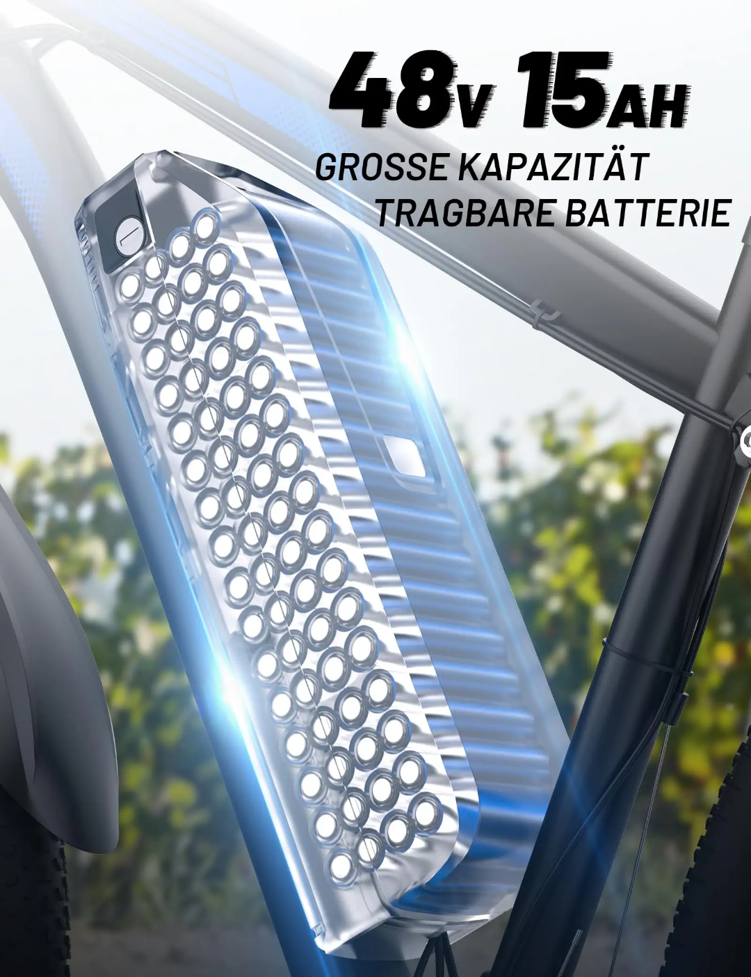 C29 ebike