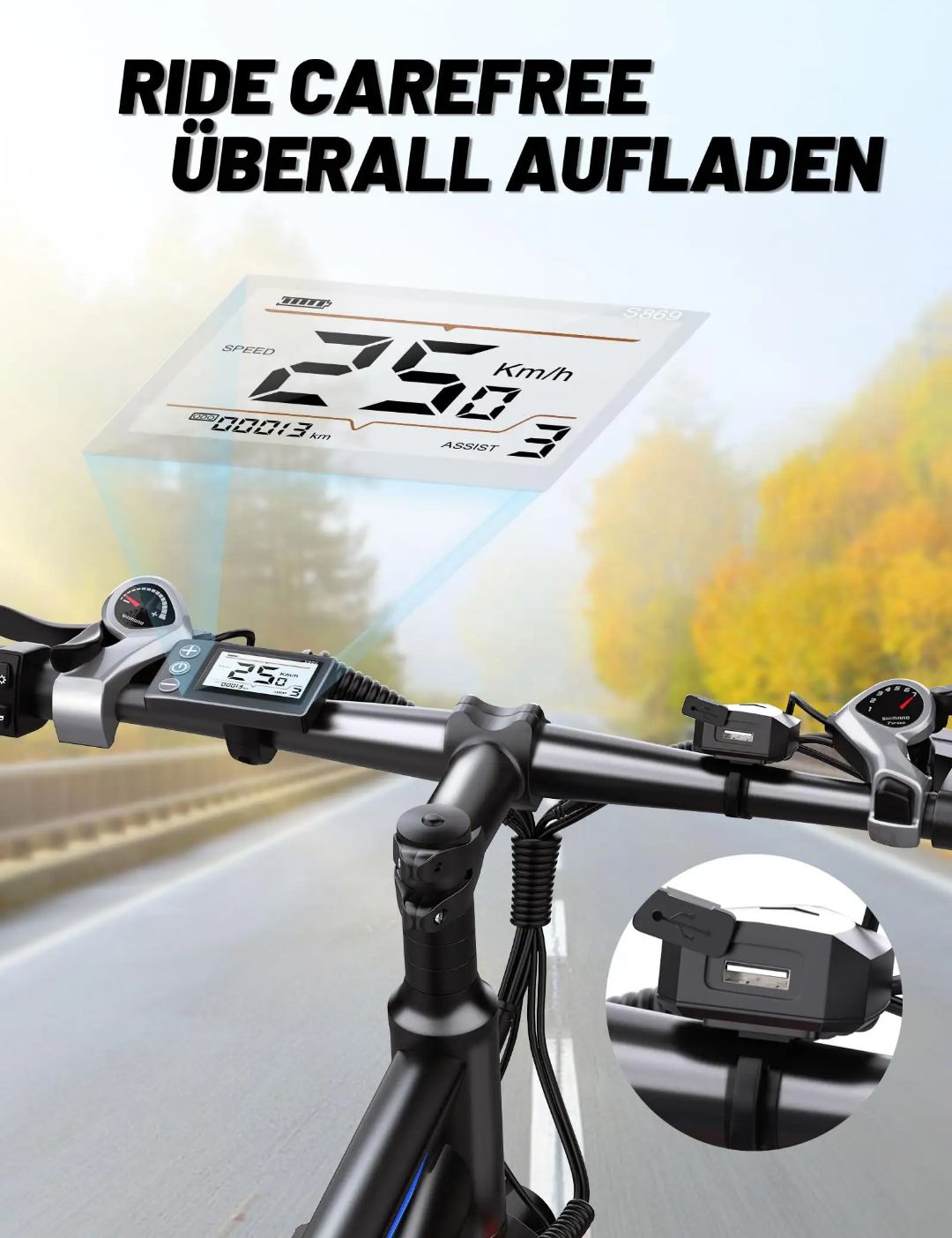C29 ebike
