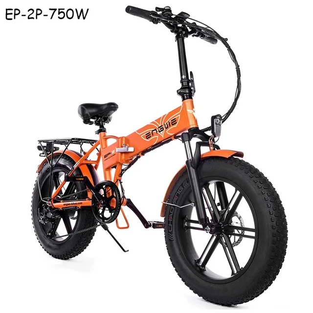 Fat Bike